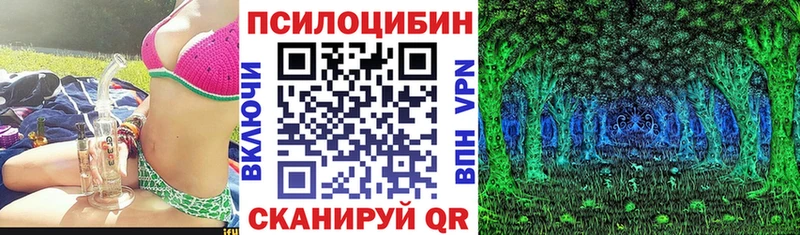 Купить закладки  Сланцы  Псилоцибиновые грибы Cubensis 